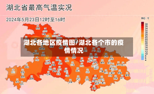 湖北各地区疫情图/湖北各个市的疫情情况