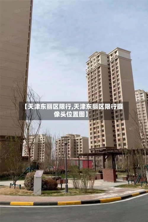 【天津东丽区限行,天津东丽区限行摄像头位置图】-第2张图片