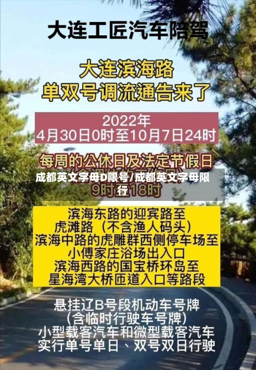 成都英文字母D限号/成都英文字母限行-第3张图片