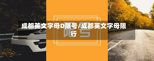 成都英文字母D限号/成都英文字母限行-第2张图片