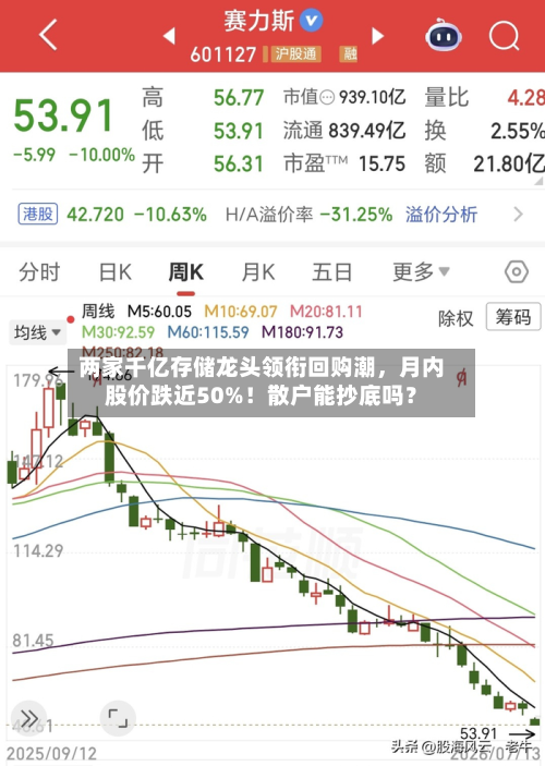 两家千亿存储龙头领衔回购潮，月内股价跌近50%！散户能抄底吗？-第2张图片