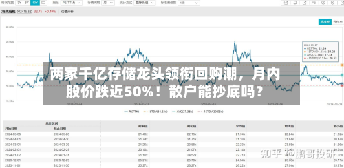 两家千亿存储龙头领衔回购潮，月内股价跌近50%！散户能抄底吗？