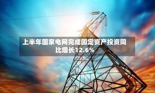 上半年国家电网完成固定资产投资同比增长12.6%
