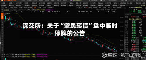 深交所：关于“肇民转债”盘中临时停牌的公告