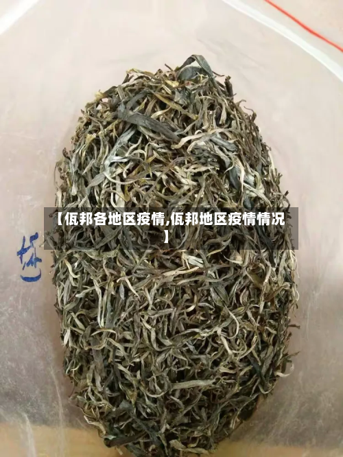 【佤邦各地区疫情,佤邦地区疫情情况】-第2张图片