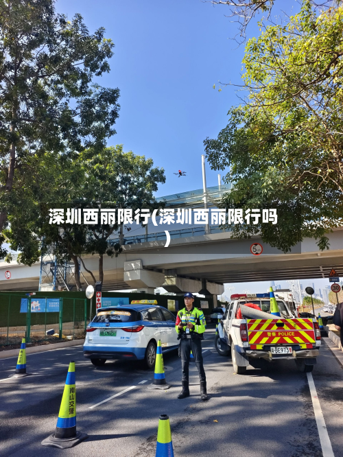 深圳西丽限行(深圳西丽限行吗)-第2张图片