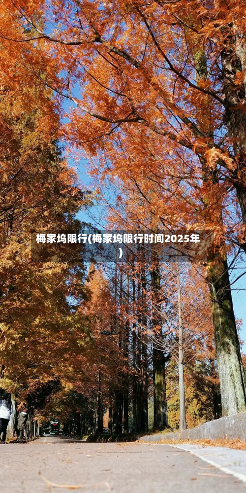 梅家坞限行(梅家坞限行时间2025年)-第3张图片
