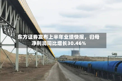 东方证券发布上半年业绩快报	，归母净利润同比增长30.46%-第2张图片