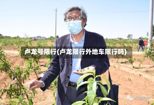 卢龙号限行(卢龙限行外地车限行吗)-第2张图片