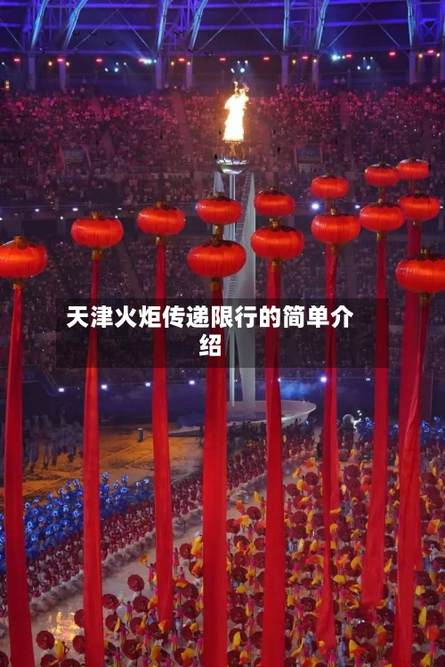 天津火炬传递限行的简单介绍-第2张图片
