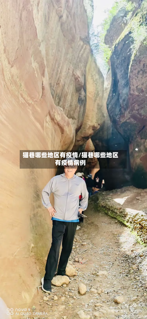 猫巷哪些地区有疫情/猫巷哪些地区有疫情病例
