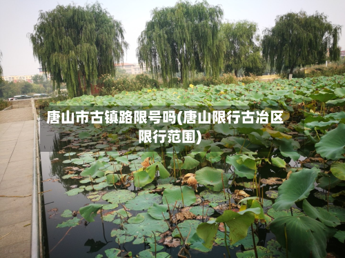 唐山市古镇路限号吗(唐山限行古冶区限行范围)