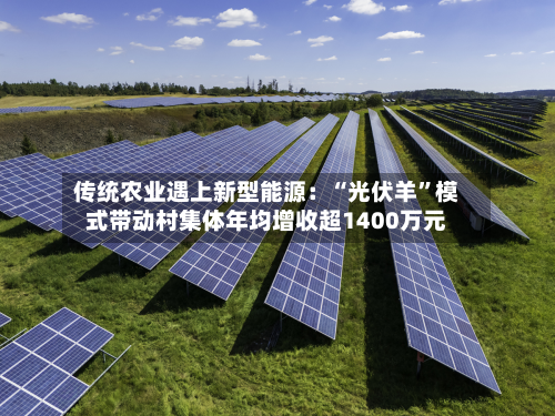 传统农业遇上新型能源：“光伏羊”模式带动村集体年均增收超1400万元-第2张图片