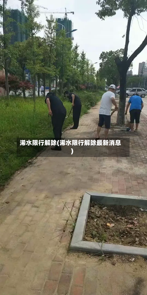 浠水限行解除(浠水限行解除最新消息)-第2张图片