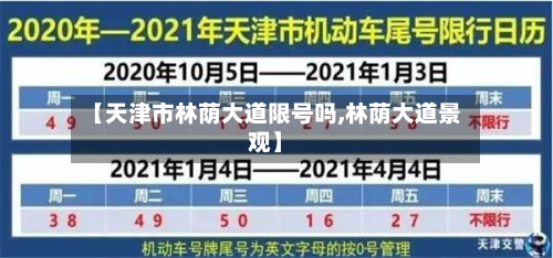 【天津市林荫大道限号吗,林荫大道景观】-第2张图片