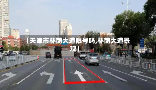 【天津市林荫大道限号吗,林荫大道景观】