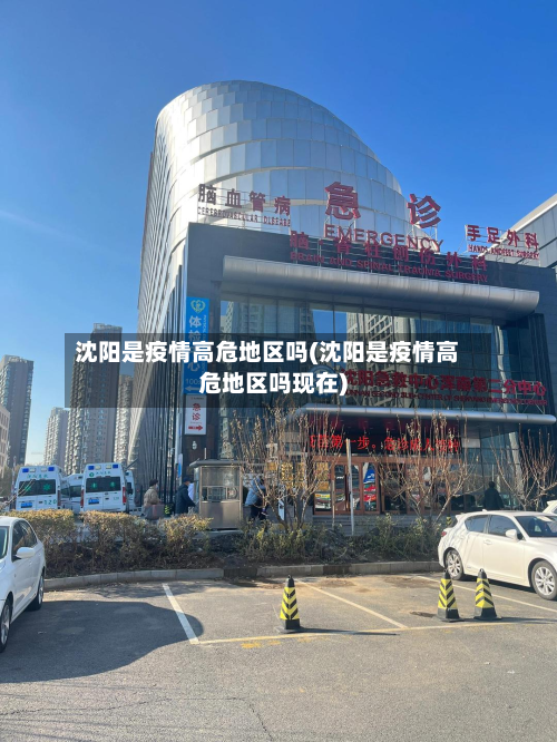 沈阳是疫情高危地区吗(沈阳是疫情高危地区吗现在)-第2张图片