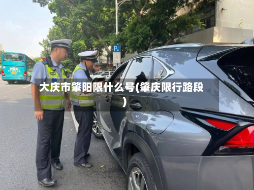 大庆市肇阳限什么号(肇庆限行路段)-第2张图片