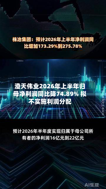 澄天伟业2026年上半年归母净利润同比降74.89% 拟不实施利润分配