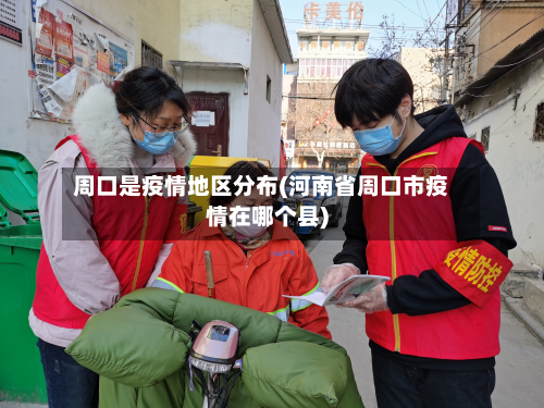周口是疫情地区分布(河南省周口市疫情在哪个县)-第3张图片