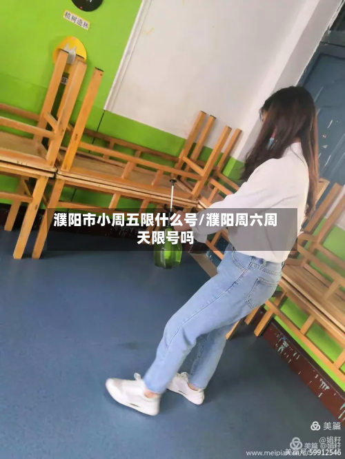 濮阳市小周五限什么号/濮阳周六周天限号吗-第3张图片