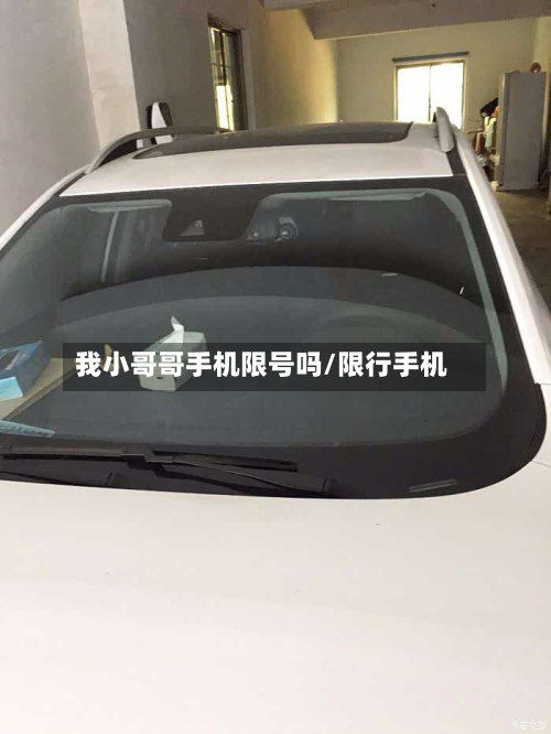 我小哥哥手机限号吗/限行手机-第2张图片