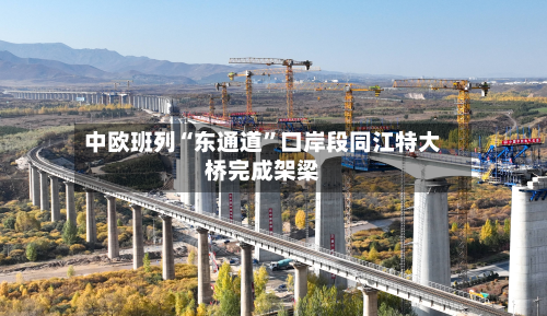 中欧班列“东通道”口岸段同江特大桥完成架梁-第2张图片