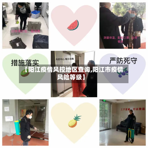 【阳江疫情风控地区查询,阳江市疫情风险等级】-第2张图片