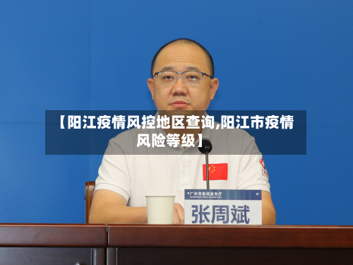 【阳江疫情风控地区查询,阳江市疫情风险等级】