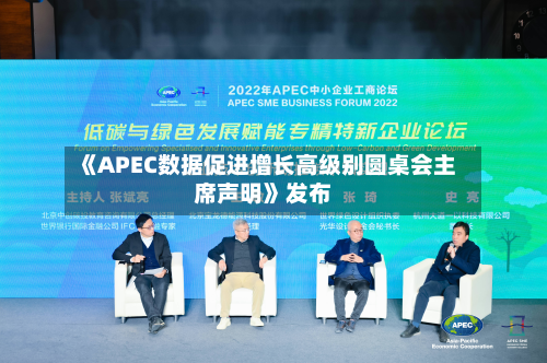 《APEC数据促进增长高级别圆桌会主席声明》发布