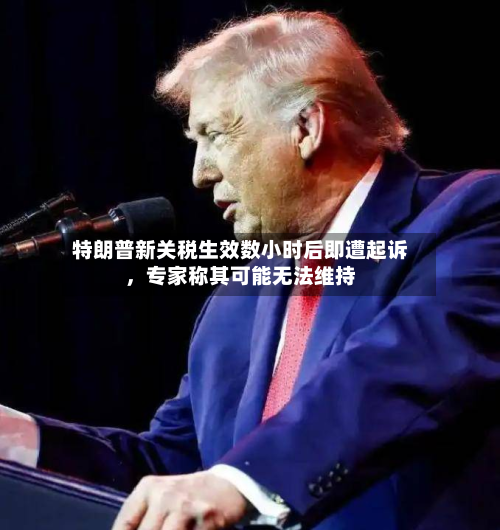 特朗普新关税生效数小时后即遭起诉，专家称其可能无法维持-第1张图片