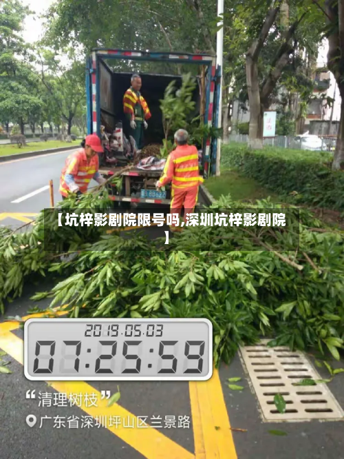 【坑梓影剧院限号吗,深圳坑梓影剧院】