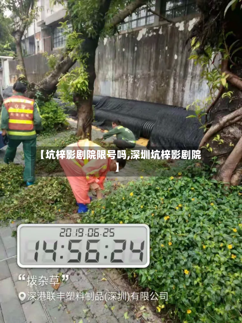 【坑梓影剧院限号吗,深圳坑梓影剧院】-第2张图片