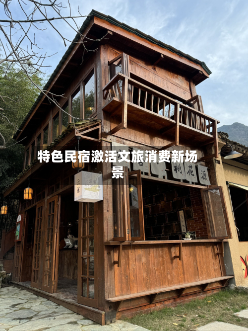 特色民宿激活文旅消费新场景-第2张图片