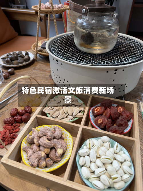 特色民宿激活文旅消费新场景