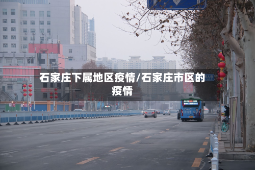 石家庄下属地区疫情/石家庄市区的疫情-第2张图片