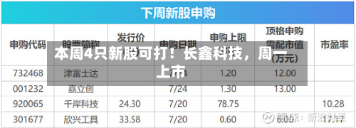 本周4只新股可打！长鑫科技，周一上市-第2张图片