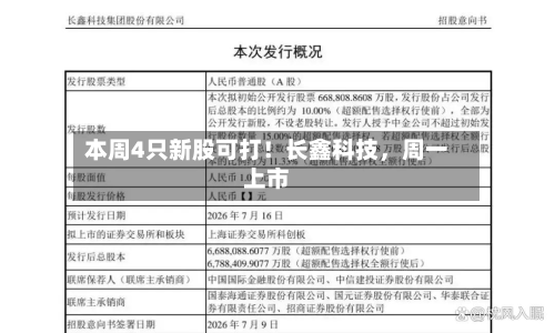 本周4只新股可打！长鑫科技	，周一上市-第3张图片