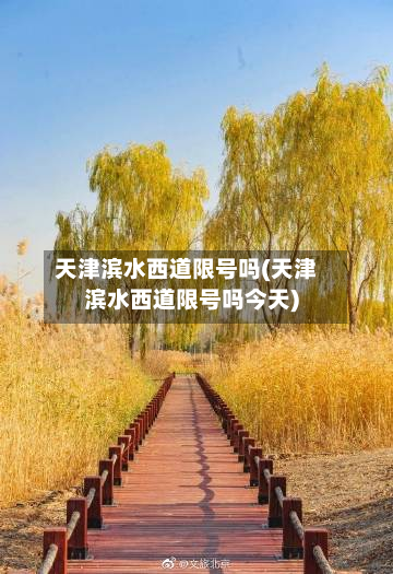 天津滨水西道限号吗(天津滨水西道限号吗今天)