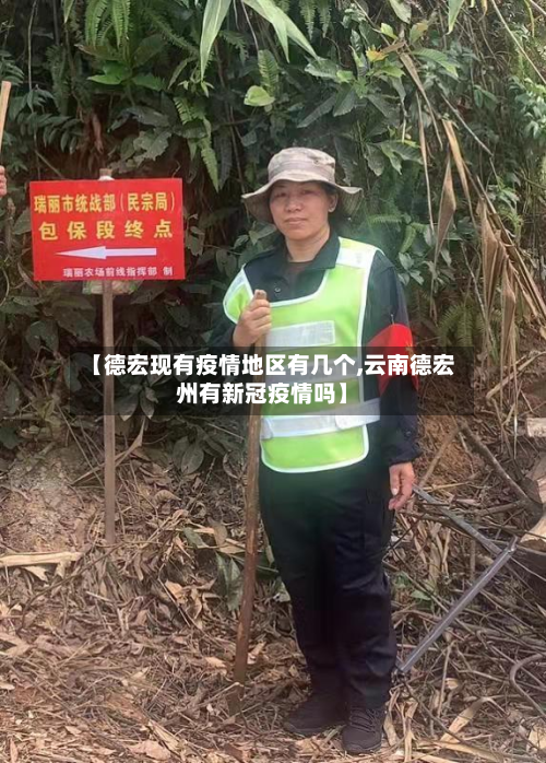 【德宏现有疫情地区有几个,云南德宏州有新冠疫情吗】-第2张图片