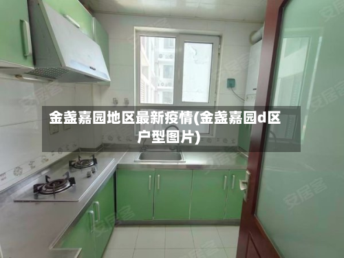 金盏嘉园地区最新疫情(金盏嘉园d区户型图片)-第2张图片