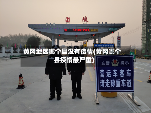 黄冈地区哪个县没有疫情(黄冈哪个县疫情最严重)-第3张图片
