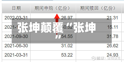 张坤颠覆“张坤	”-第2张图片