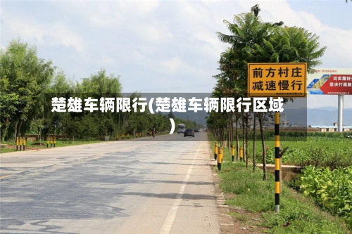 楚雄车辆限行(楚雄车辆限行区域)-第3张图片