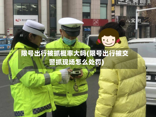 限号出行被抓概率大吗(限号出行被交警抓现场怎么处罚)