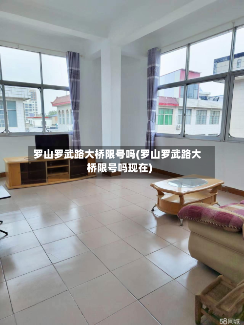 罗山罗武路大桥限号吗(罗山罗武路大桥限号吗现在)-第3张图片