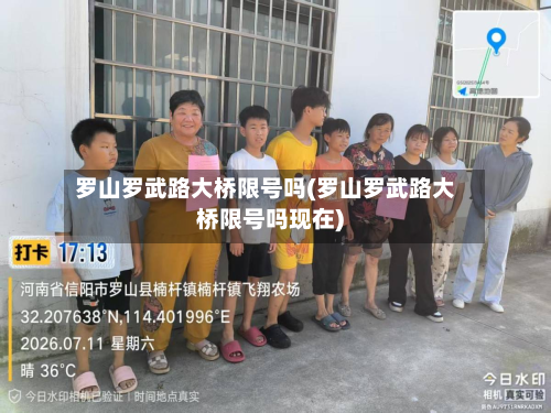 罗山罗武路大桥限号吗(罗山罗武路大桥限号吗现在)-第2张图片