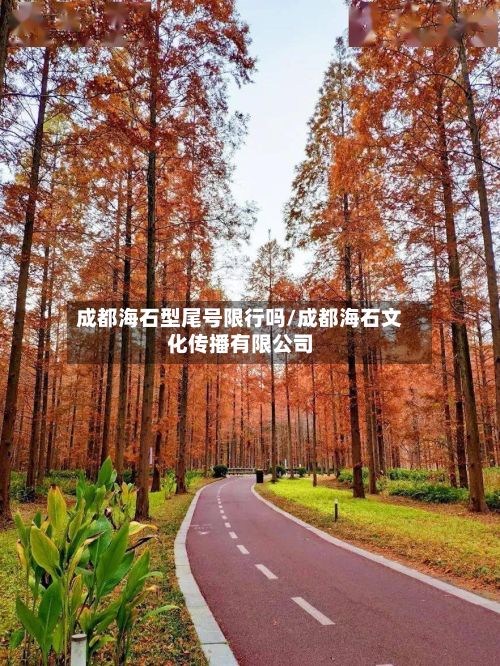 成都海石型尾号限行吗/成都海石文化传播有限公司