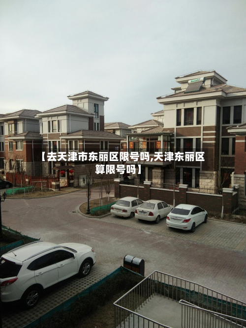 【去天津市东丽区限号吗,天津东丽区算限号吗】