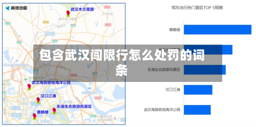 包含武汉闯限行怎么处罚的词条